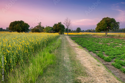 countryside landscape