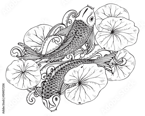 Hand drawn vector illustration of two Koi fishes with lotus leav