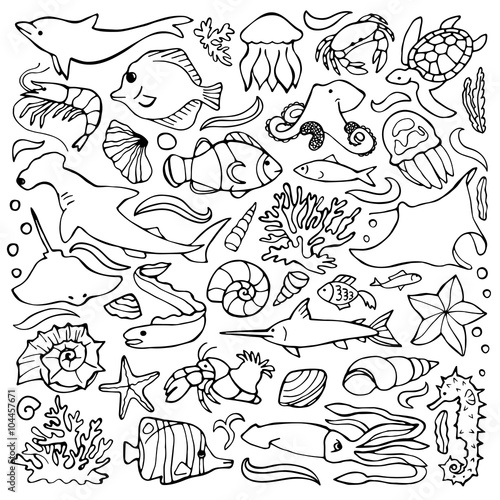 Sea doodle set