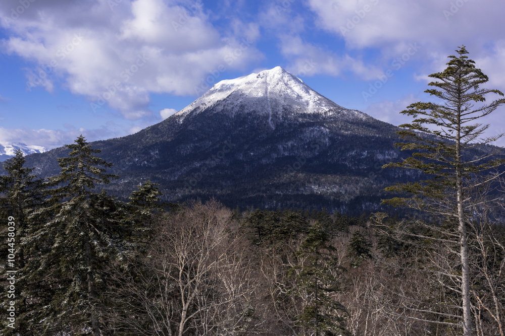Fototapeta premium 雪の雄阿寒岳