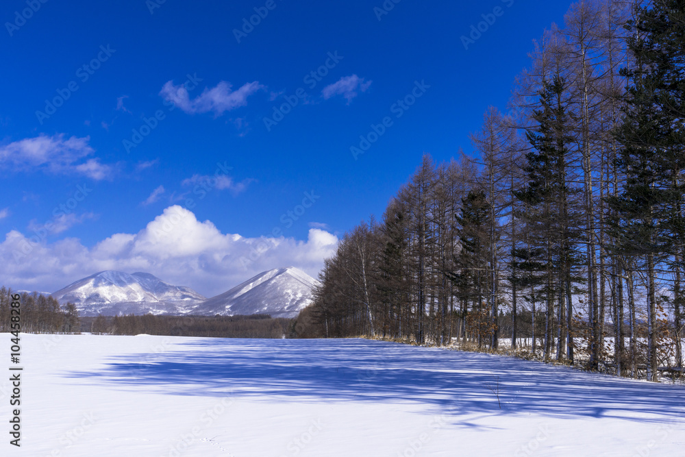 北の大地の雪景色