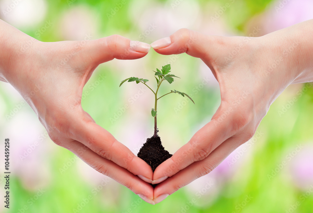 Environmental awareness and protection concept Environmental awareness and protection concept