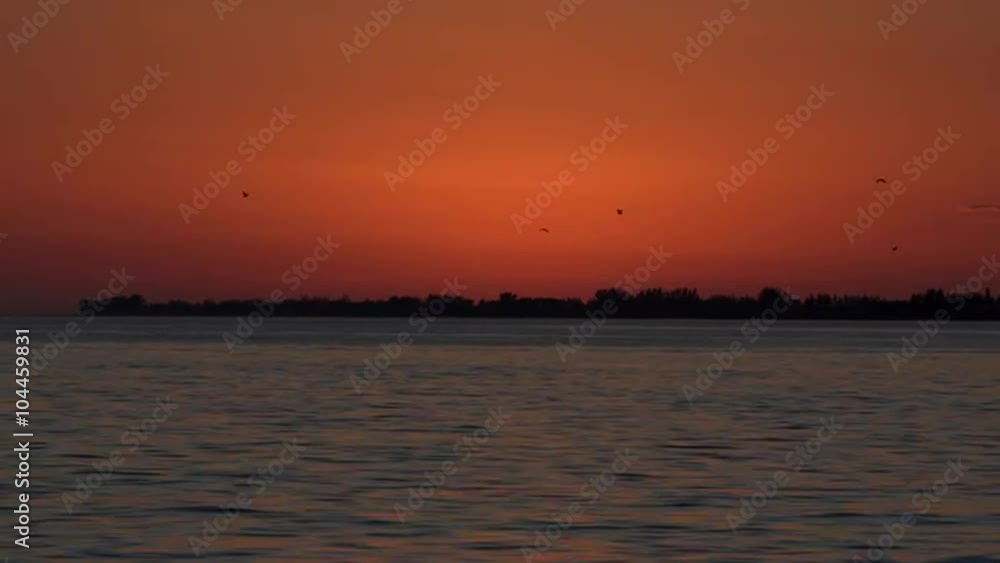 Birds Flying boat against red sky after sunset Birds Flying boat against red sky after sunset