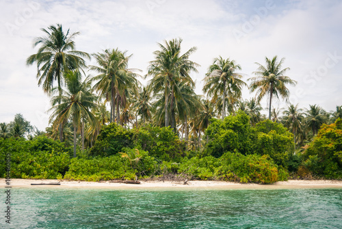 A white sandy beach and tropical vegetation on the island of Gosong Tengah  Karimunjawa  Indonesia.