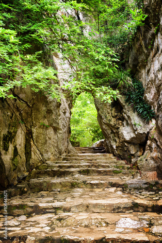 Stone stairs leading up to gate in rocks among green foliage