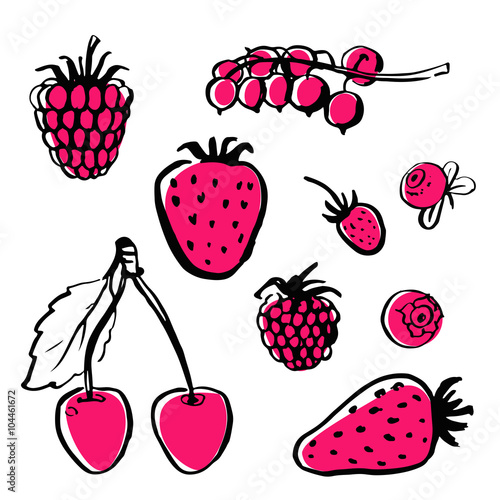 Vector hand draw food