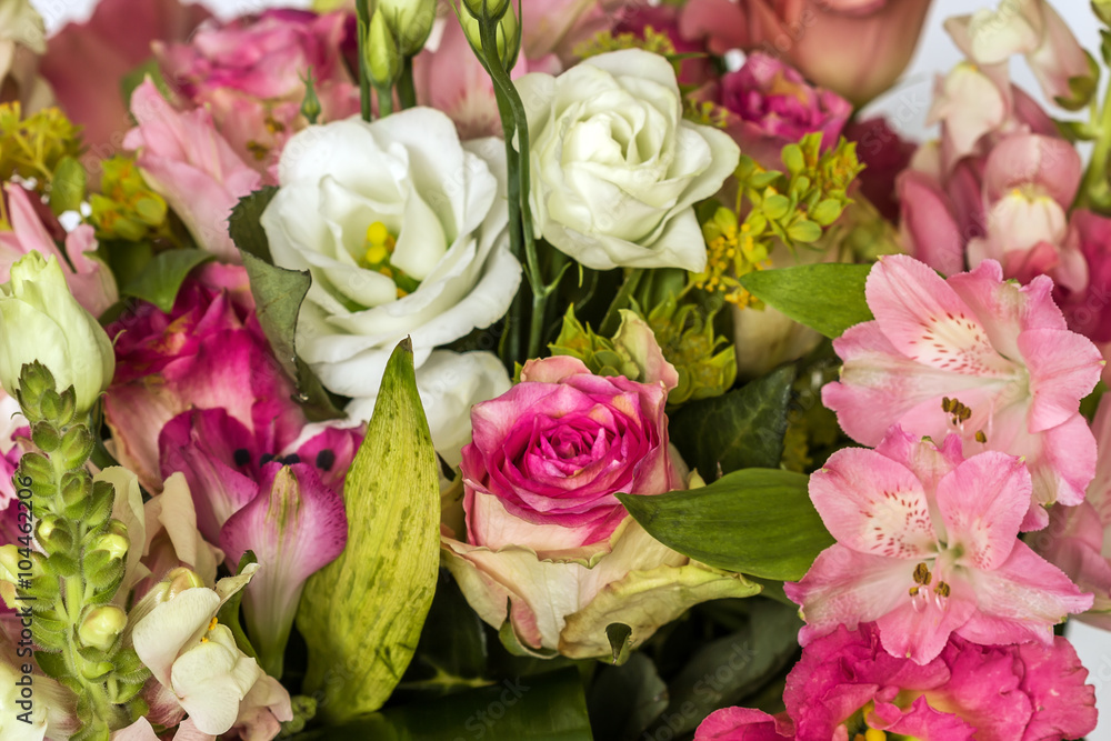 Many colored flowers