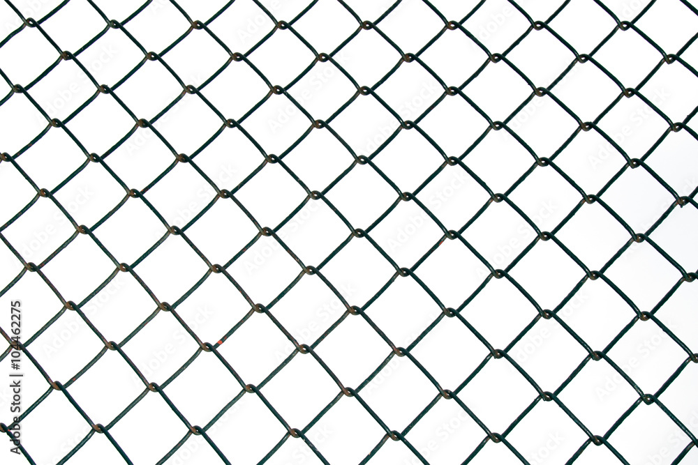 Steel Wire mesh isolate on white background Steel Wire mesh isolate on white background