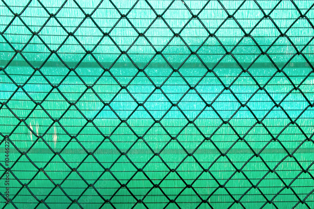 Fototapeta premium Steel Wire mesh on green slan background
