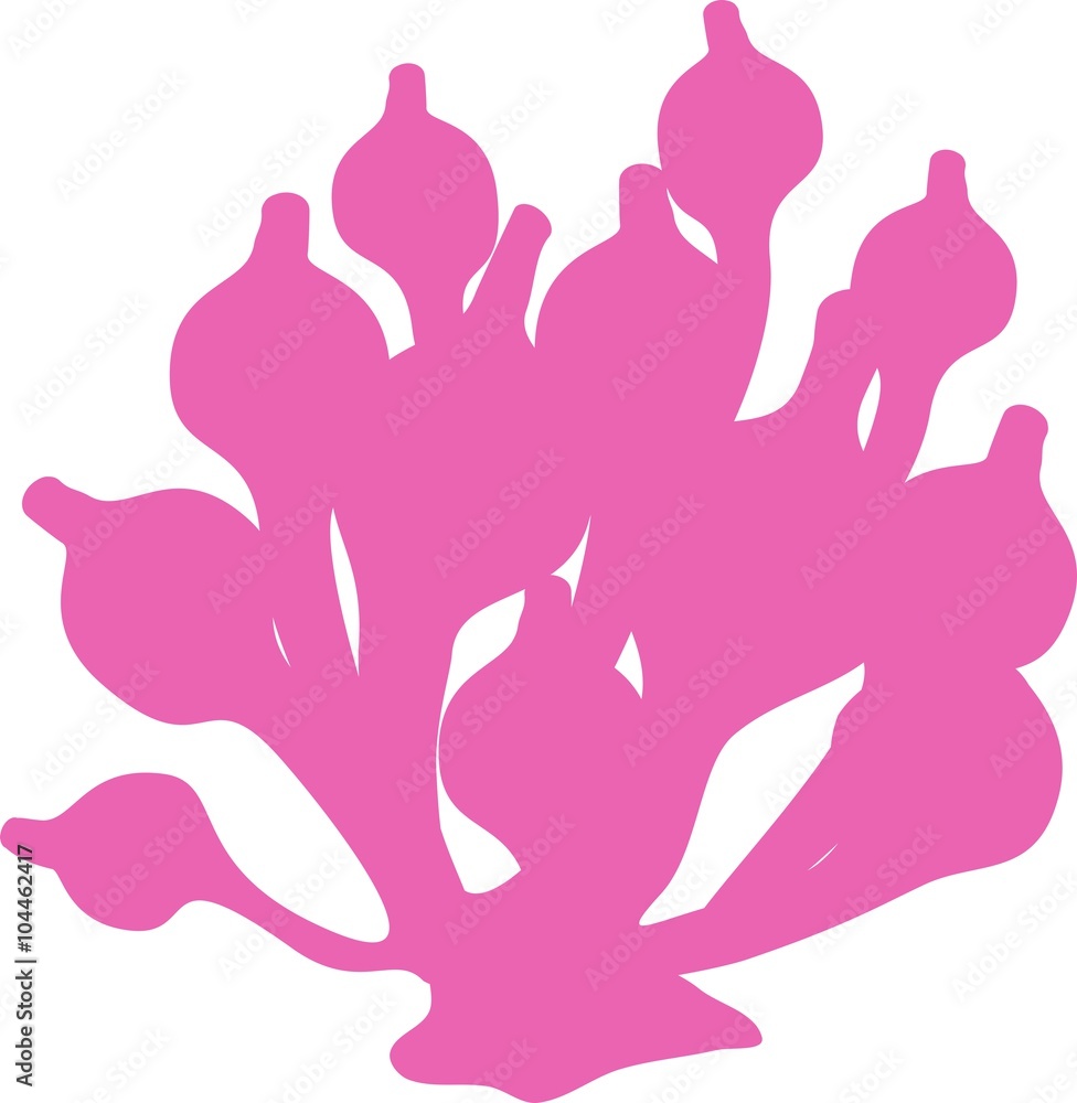 silhouette of Bubble anemone silhouette of Bubble anemone
