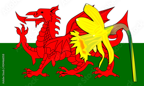 Daffodil Welsh Dragon Flag