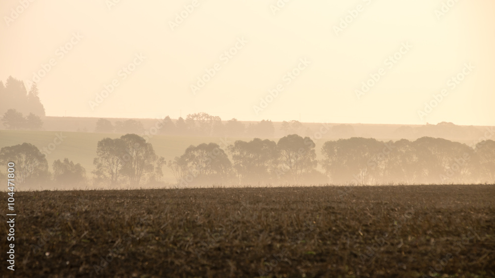sunset over the fields in fog