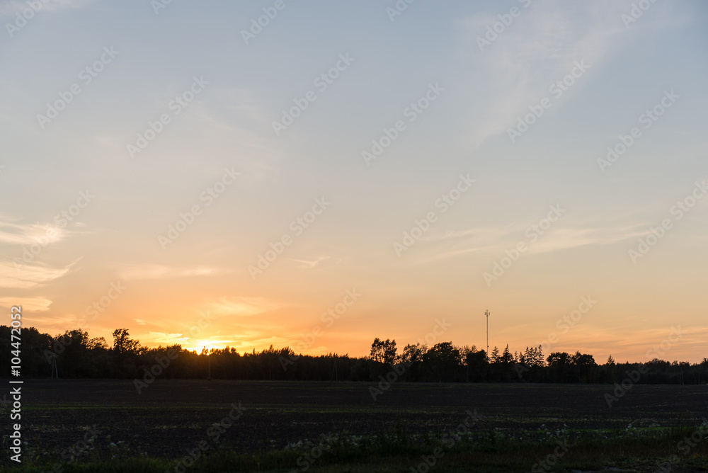sunset over the forest in fog