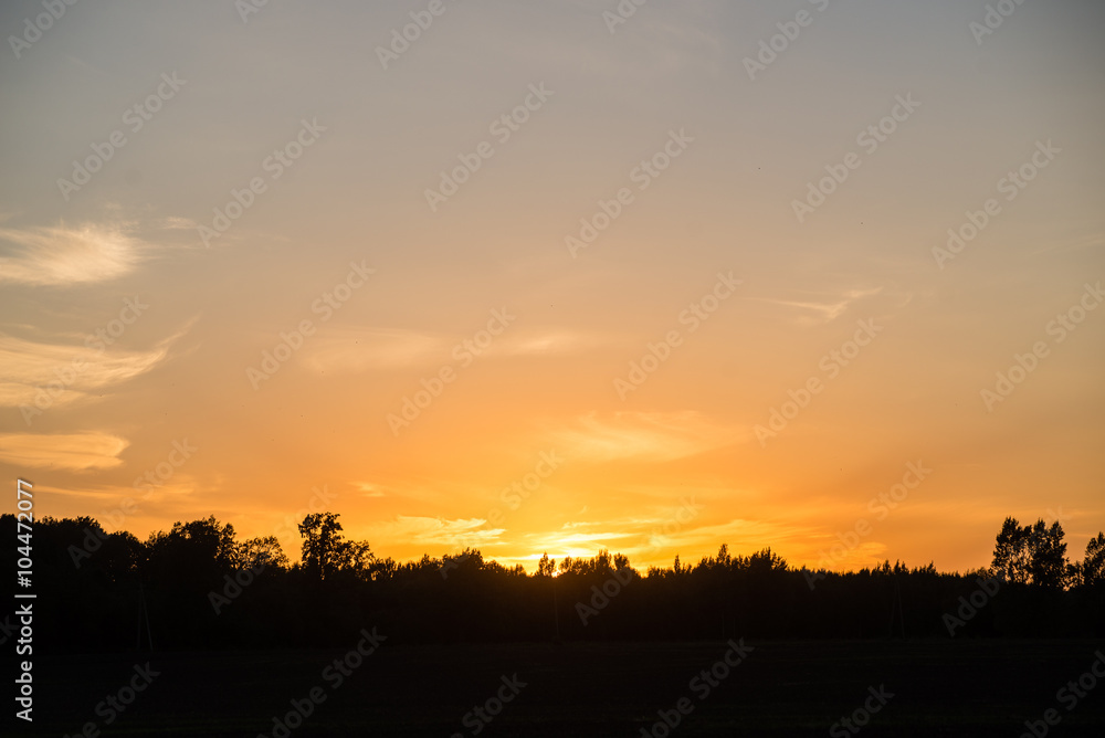 sunset over the forest in fog