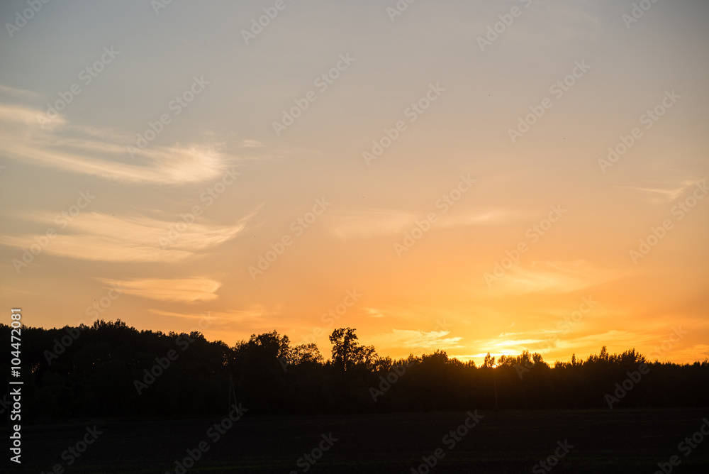 sunset over the forest in fog