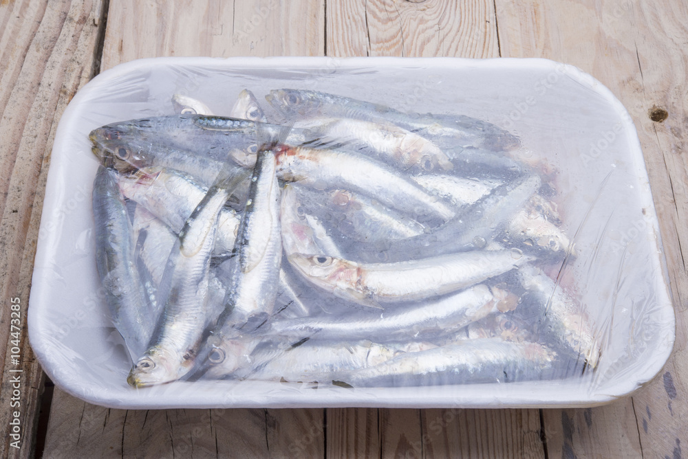 Fresh raw sardines in a white polystyrene food box isolated on w Fresh raw sardines in a white polystyrene food box isolated on w