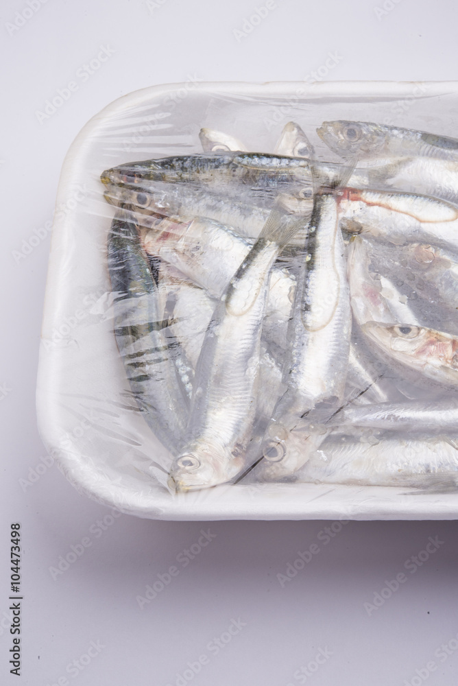 Fresh raw sardines in a white polystyrene food box isolated on w