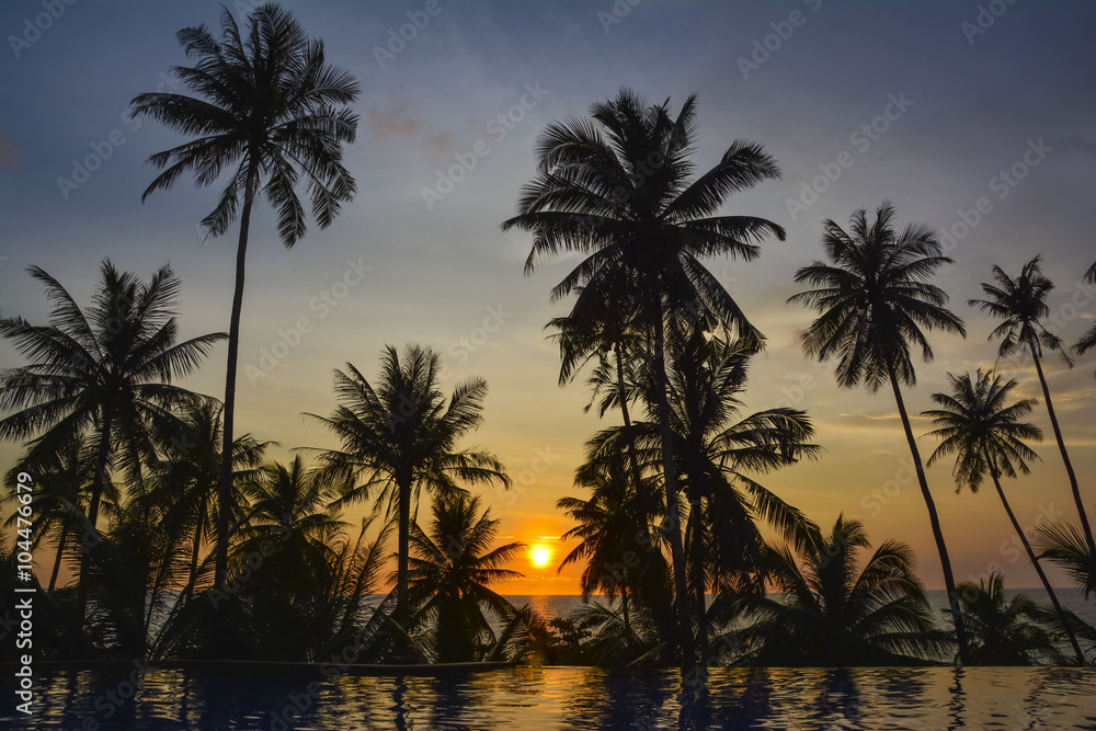 Sunset with palm trees silhouette