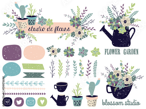Vector set with vintage flowers. Succulents, cactus, compositions, shapes, logos, borders.
