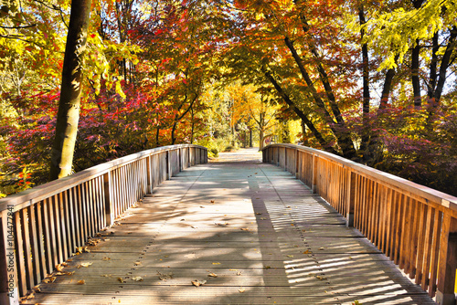 Fototapeta Idyllic autumn scene, with golden evening sun and wooden footbridge over a little creek