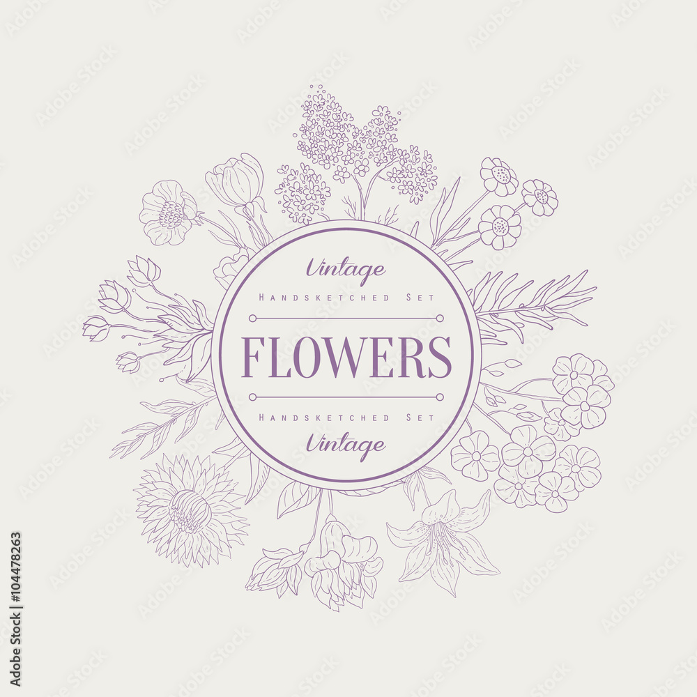 Flowers, Vector Illustration Banner