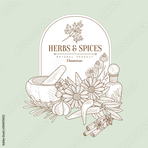Herbs and Spices, Vector Illustration Banner