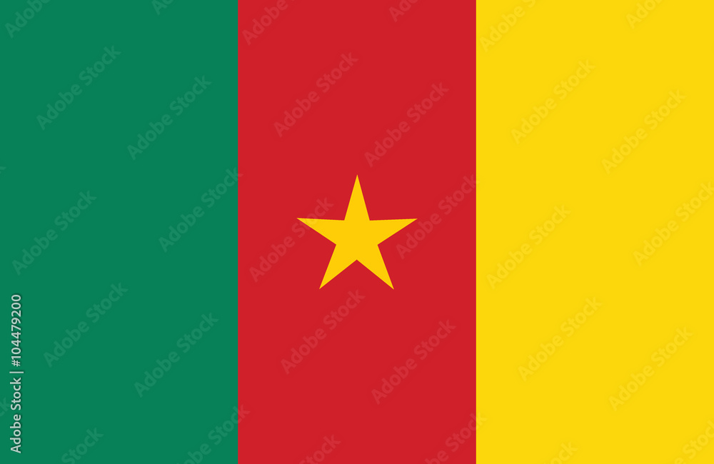 Fototapeta premium Cameroon flag.