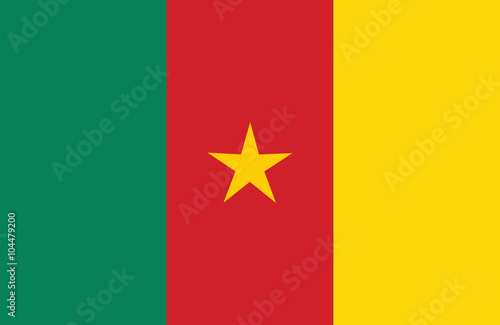 Cameroon flag. photo