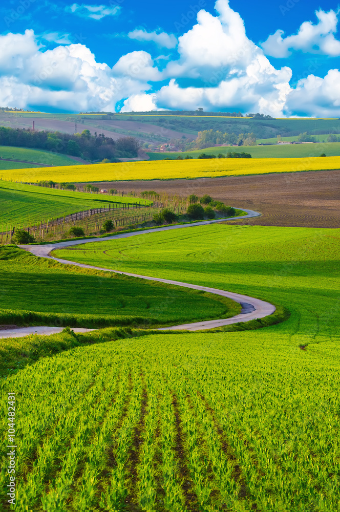Obraz premium Rural landscape with green fields, road and waves, South Moravia, Czech Republic