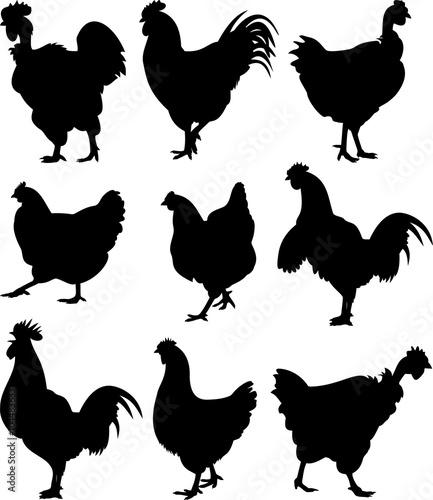 cock, chicken, hen - silhouettes