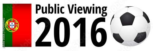 Public Viewing 2016