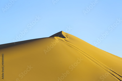 Trace on dune in iranian desert
