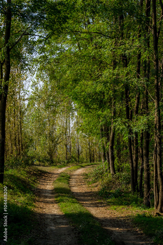 Fototapeta premium Set Vario uno