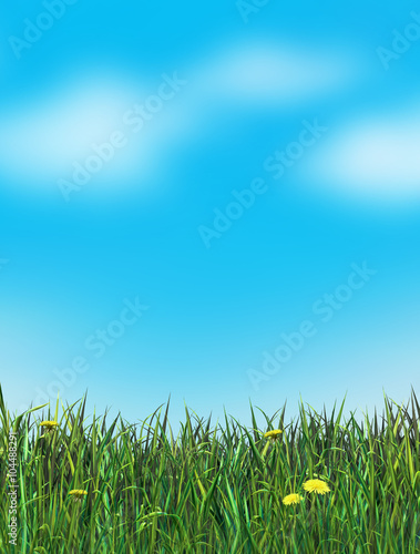 Green Grass with dandelion flower and blue sky and clouds background. Digital illustration, poster