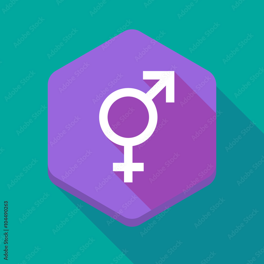 Long shadow hexagon icon with a bigender symbol Long shadow hexagon icon with a bigender symbol