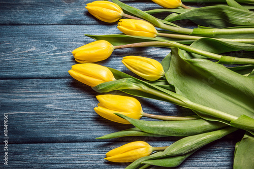 Fototapeta Naklejka Na Ścianę i Meble -  Yellow tulips flowers on blue grunge wood.