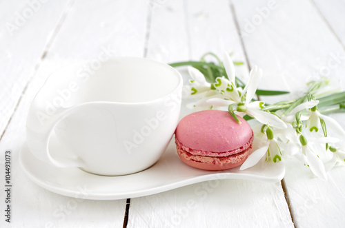 Macarons photo