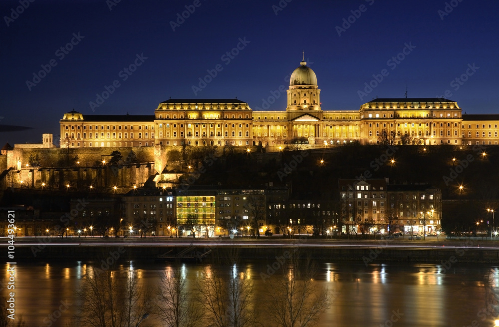 Royal Palace in Budapest. Hungary