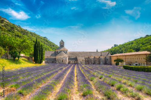 Beautiful lavender field and an ancient monastery abbey Abbaye N