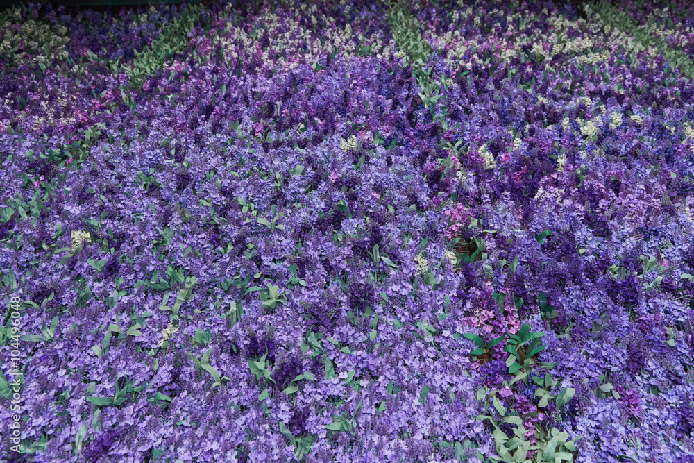 Fototapeta premium Wall of lavender flowers , artificial flowers , volumetric light , general views , live background, good texture