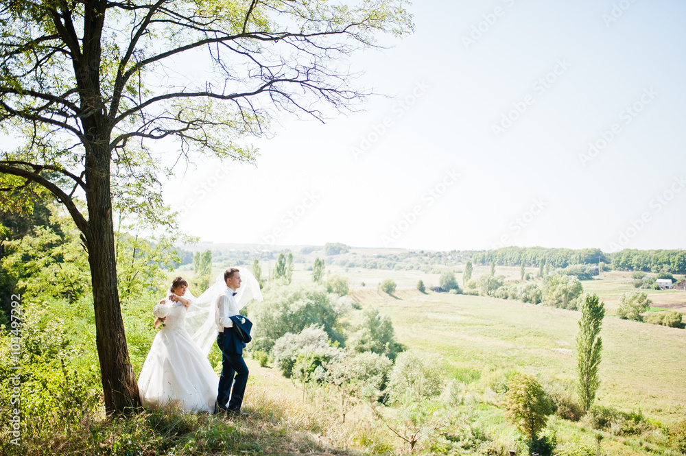 Wedding couple at forest background panorama