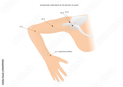acupuncture: some points of the arm easy to locate