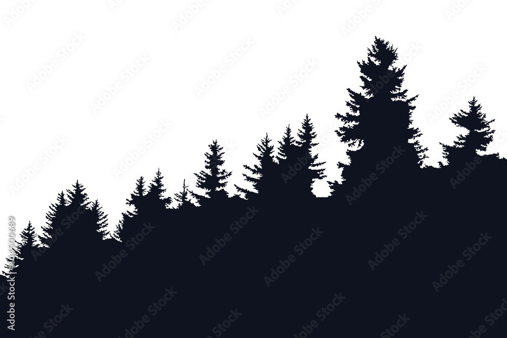 Forest silhouette