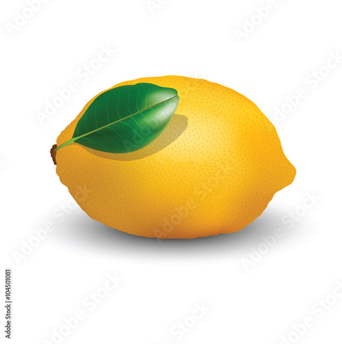 Lemon fruit for your design