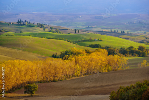 Wavy fields in Tuscany at sunset  Italy. Natural outdoor seasonal autumn background.