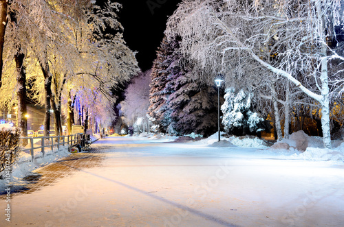 city landscape in winter night