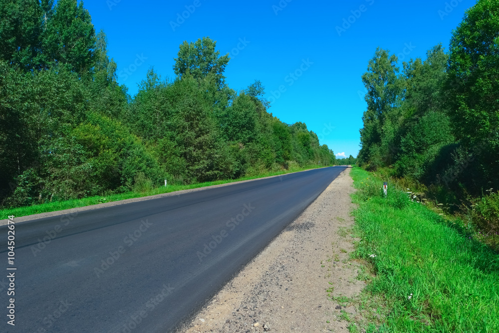 Fototapeta premium Empty highway and green forest