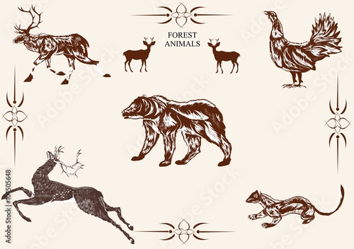 Vector wild animals set, bear, deer, mantel