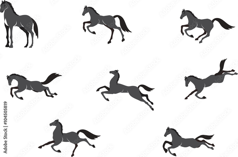 Horses in different poses vector set, isolated on white