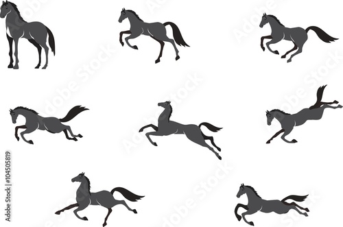 Horses in different poses vector set  isolated on white